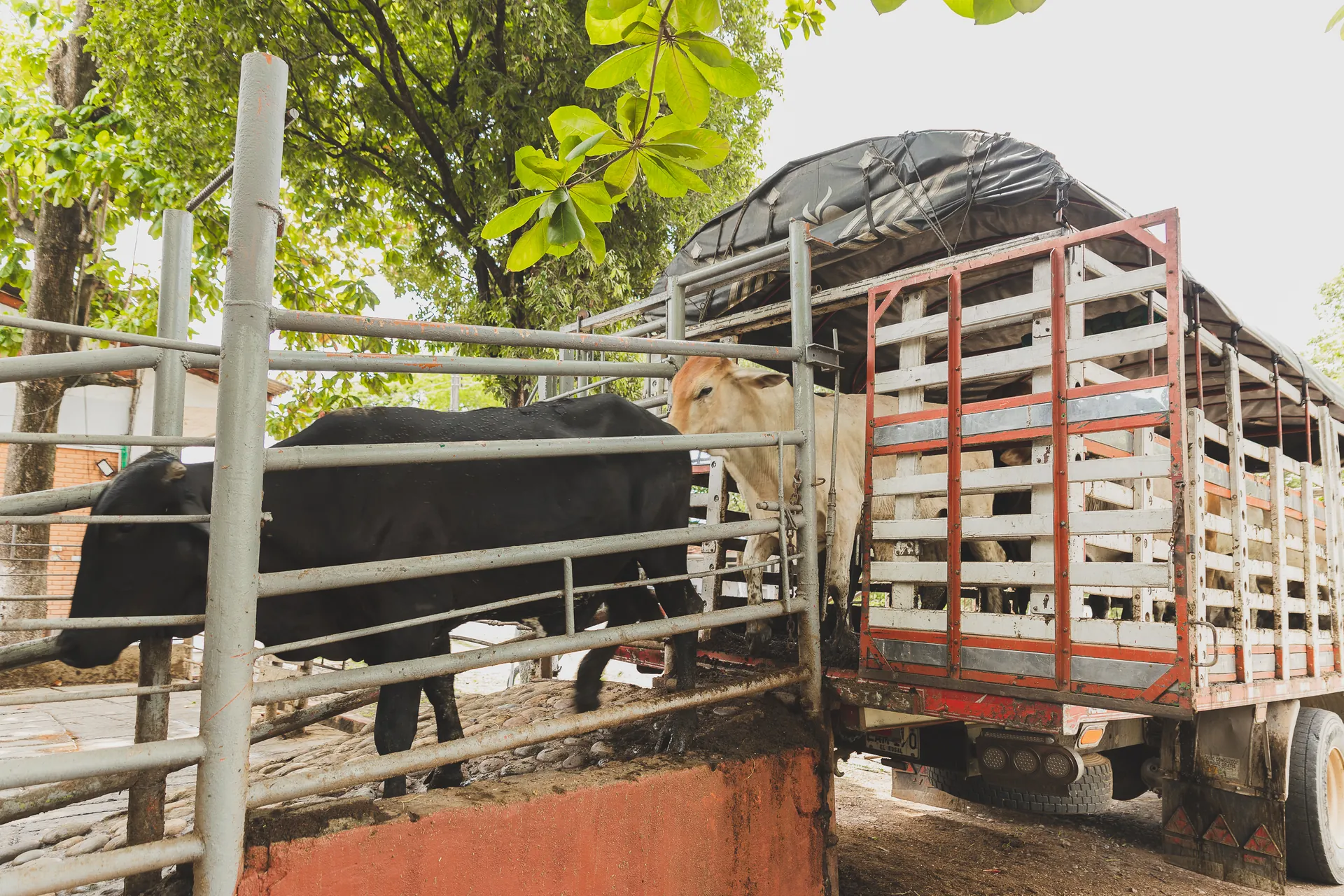 Consorcio PBAR